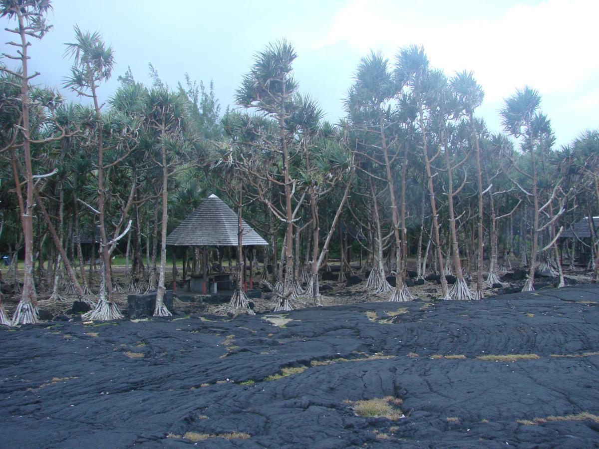 苹苹爱恋住宿加早餐旅馆 Basse Vallée 外观 照片