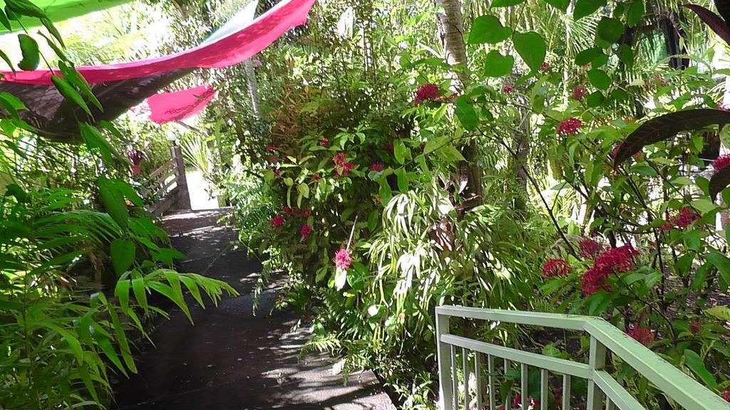 苹苹爱恋住宿加早餐旅馆 Basse Vallée 客房 照片